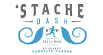 stachedash-logo-final-80